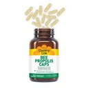 country-life-pure-bee-propolis-caps-500--5.jpg