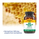 country-life-pure-bee-propolis-caps-500--2.jpg