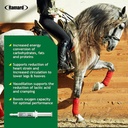 ramard-total-energy-and-stamina-support--4.jpg