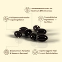 holior-wormwood-black-walnut-cloves-holi-4.jpg