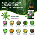 cleavers-lymphatic-drainage-drops-cleave-4.jpg