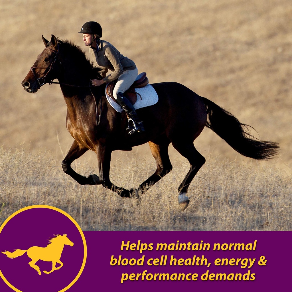 horse-health-red-cell-liquid-vitamin-iro-2.jpg