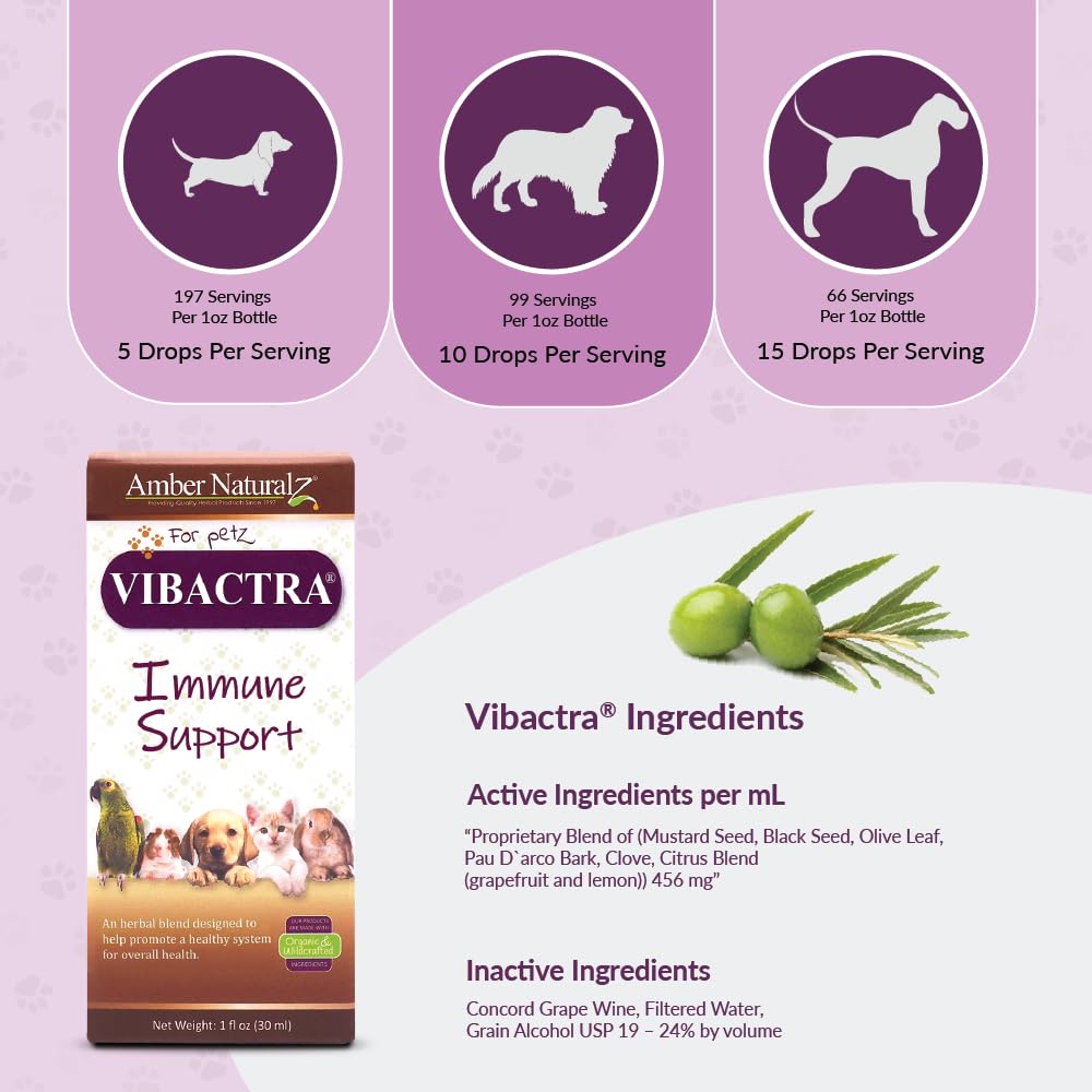 amber-naturalz-vibactra-immune-support-h-4.jpg