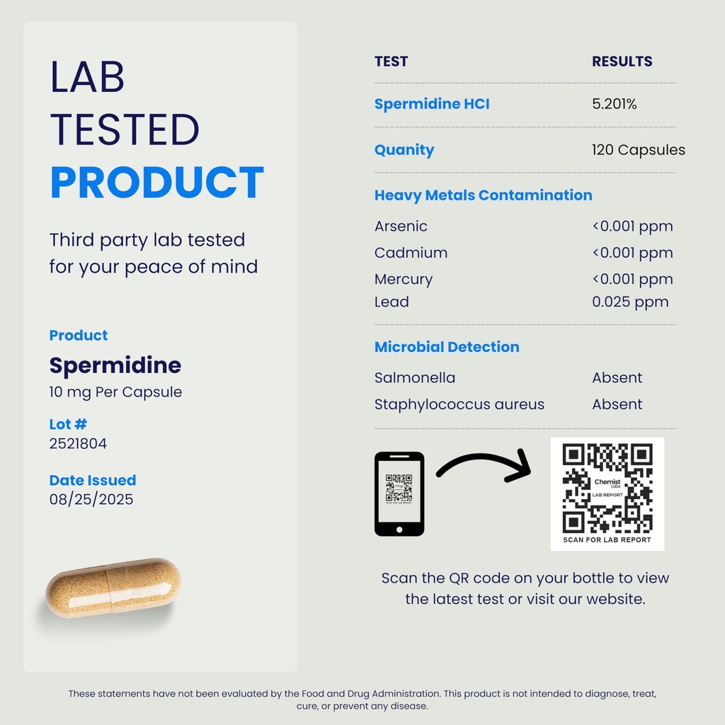 ultimate-spermidine-supplements-for-men--6.jpg