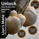 lions-mane-mushroom-capsules-4200mg-lion-5.jpg