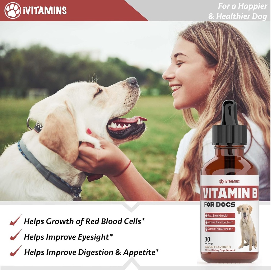 vitamin-b-for-dogs-vitamin-b-complex-for-5.jpg