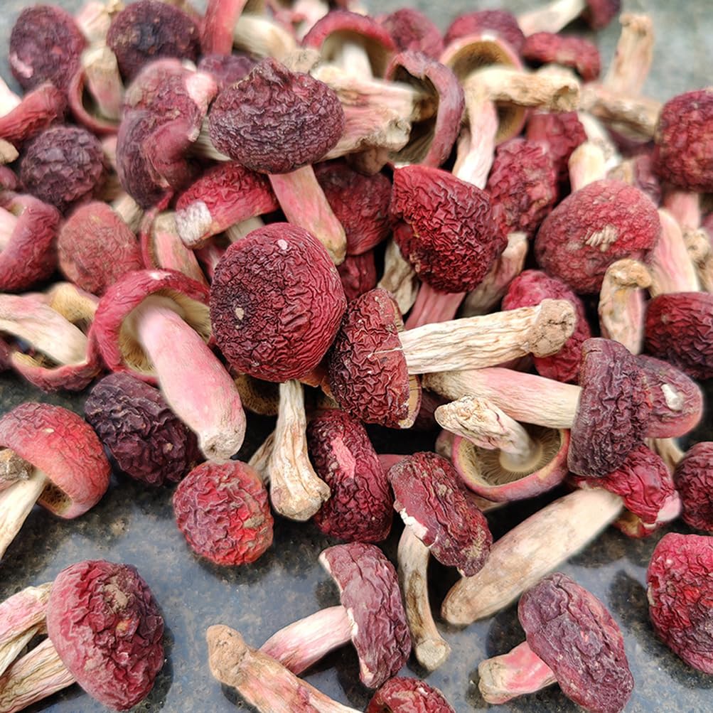dried-russula-red-mushroom-honggu-100g-4.jpg