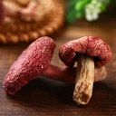 dried-russula-red-mushroom-honggu-100g-2.jpg