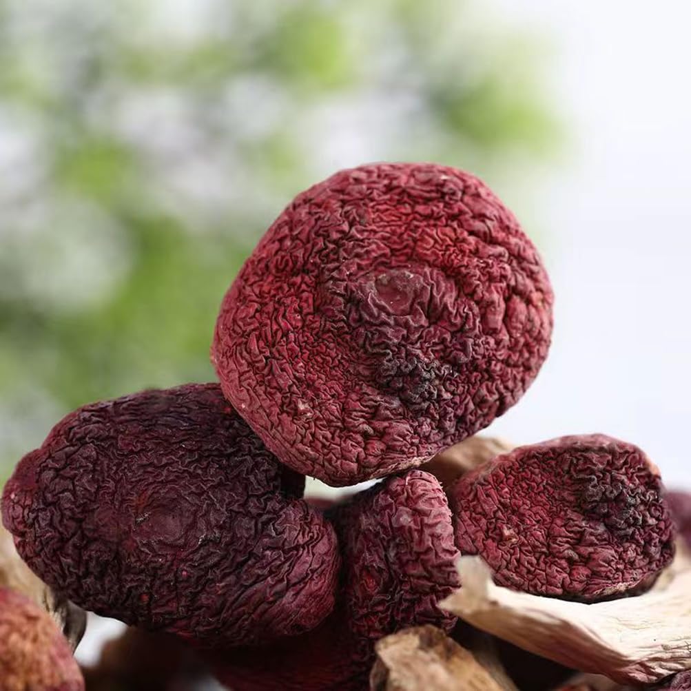 dried-russula-red-mushroom-honggu-100g-5.jpg