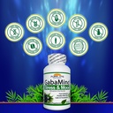 gabamind-stress-and-mood-90-capsules-6.jpg