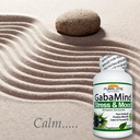 gabamind-stress-and-mood-90-capsules-4.jpg