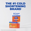 zicam-ultra-cold-remedy-zinc-rapidmelts--5.jpg