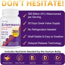 akkermansia-supplement-300-billion-afu-a-6.jpg