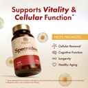 stonera-spermidine-supplement-cellular-r-2.jpg