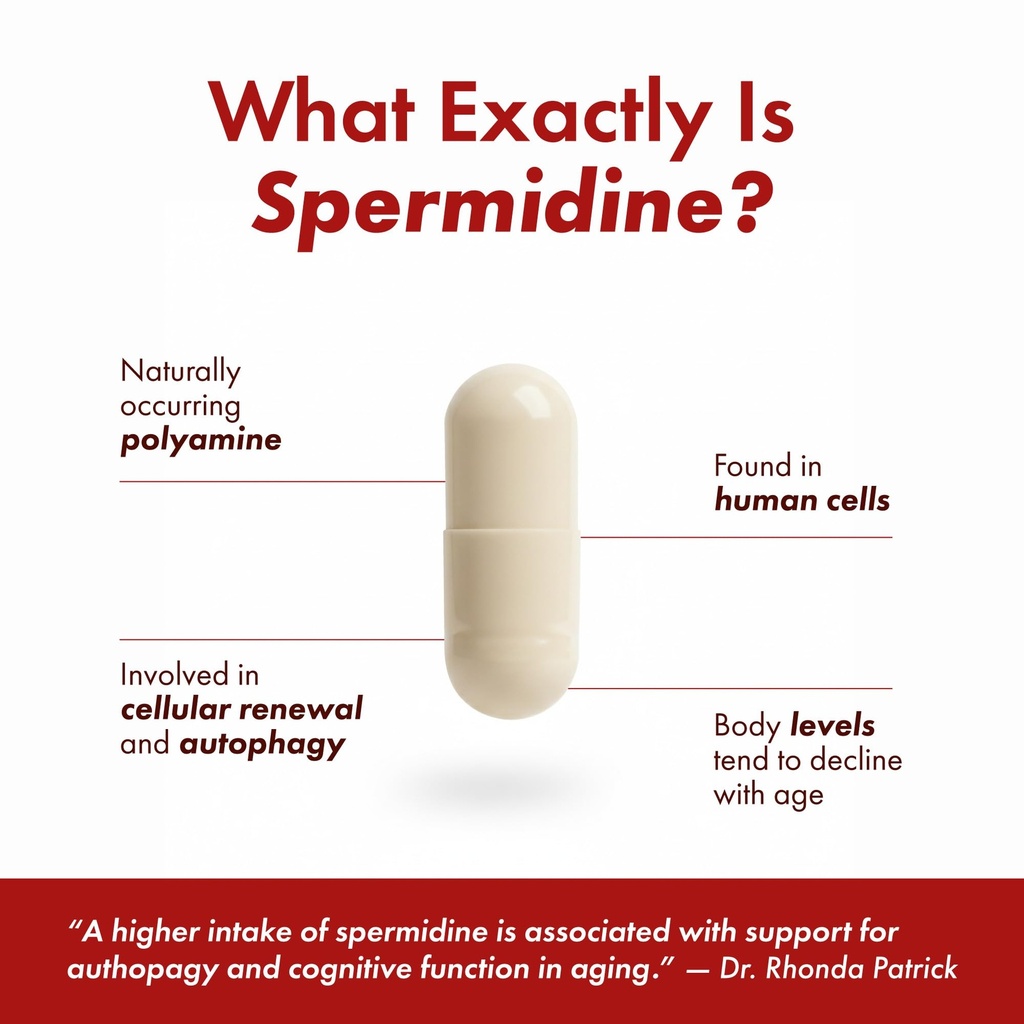 stonera-spermidine-supplement-cellular-r-5.jpg
