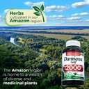 fito-medic-s-lab-damiana-leaf-180-capsul-5.jpg