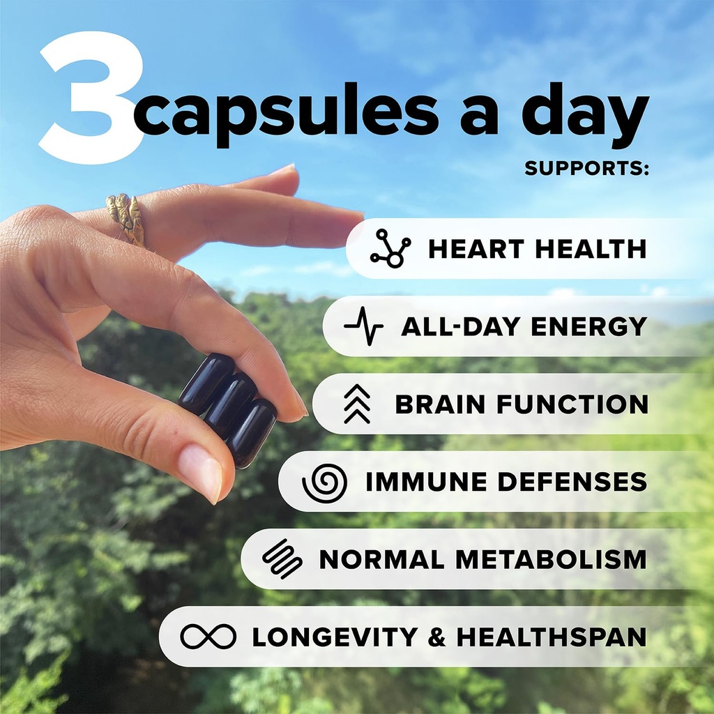 complement-essential-vegan-multivitamin--2.jpg