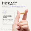 dake-and-minerals-101-bundle-5.jpg