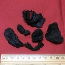 xyp-shudihuang-shu-di-huang-100gram-5.jpg