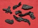 xyp-shudihuang-shu-di-huang-100gram-2.jpg