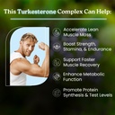 tghc-turkesterone-capsules-pack-of-1-5.jpg
