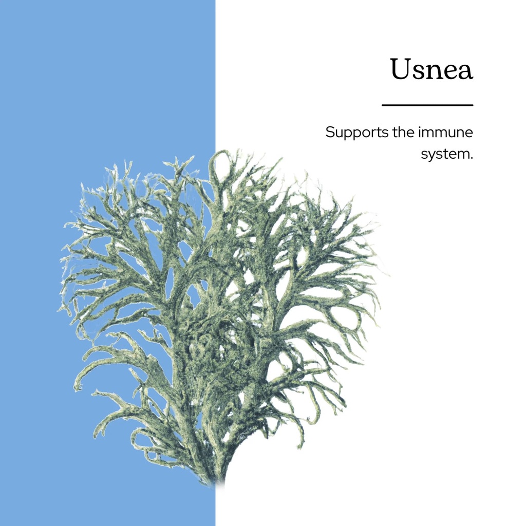 eclectic-herb-usnea-extract-immune-detox-2.jpg