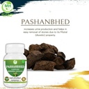 pashanbhed-bergenia-ligulata-powder-caps-4.jpg