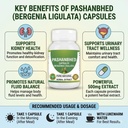 pashanbhed-bergenia-ligulata-powder-caps-5.jpg
