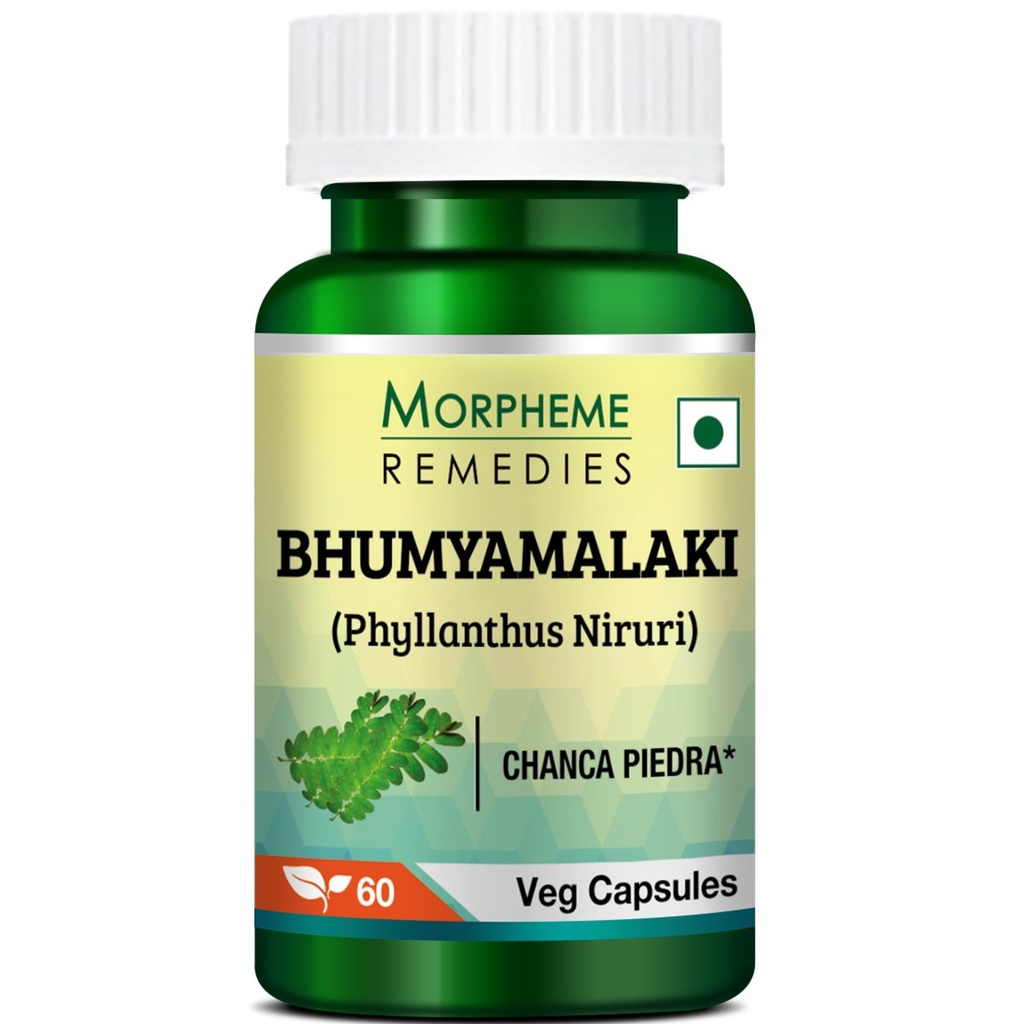 morpheme-phyllanthus-niruri-bhumyamlaki--2.jpg