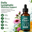 elavyn-lymphatic-drainage-drops-flow-by--2.jpg