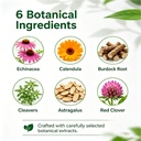 elavyn-lymphatic-drainage-drops-flow-by--5.jpg
