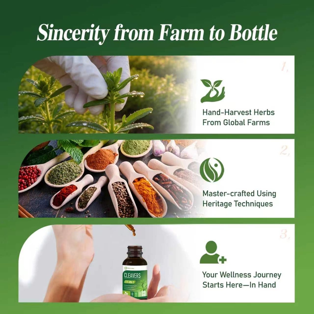 cleavers-extract-drops-for-lymphatic-dra-6.jpg