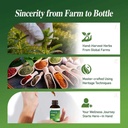 cleavers-extract-drops-for-lymphatic-dra-6.jpg