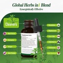 cleavers-extract-drops-for-lymphatic-dra-4.jpg