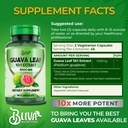 bliva-guava-leaf-extract-capsules-1000-m-2.jpg