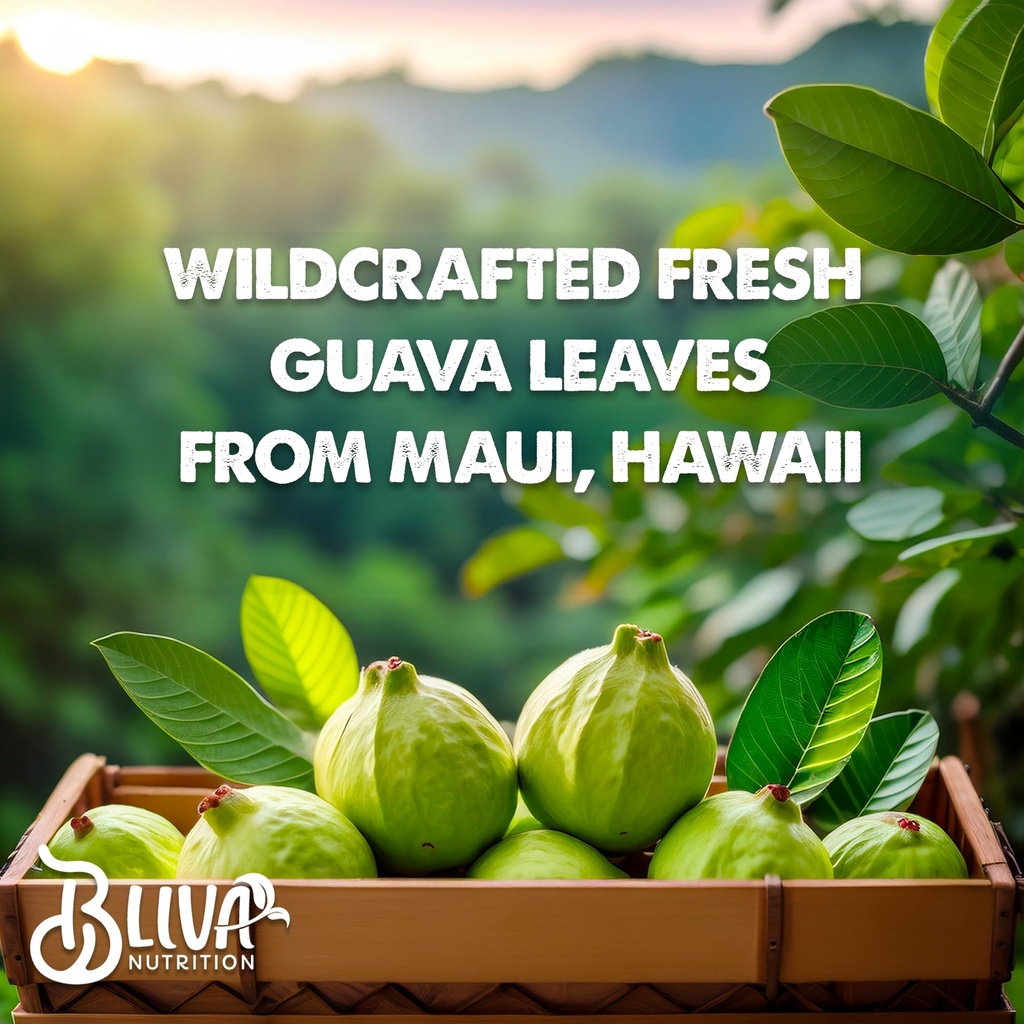 bliva-guava-leaf-extract-capsules-1000-m-4.jpg