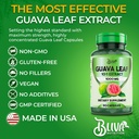 bliva-guava-leaf-extract-capsules-1000-m-5.jpg