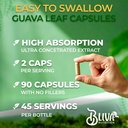 bliva-guava-leaf-extract-capsules-1000-m-6.jpg