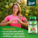 bliva-guava-leaf-extract-capsules-1000-m-3.jpg