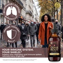 osha-root-tincture-osha-tincture-herb-ex-5.jpg