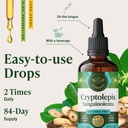 herbamama-cryptolepis-tincture-vegan-imm-6.jpg