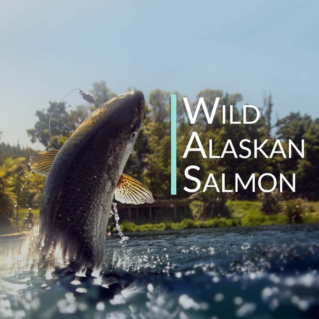 wild-alaskan-salmon-bone-broth-collagen--4.jpg