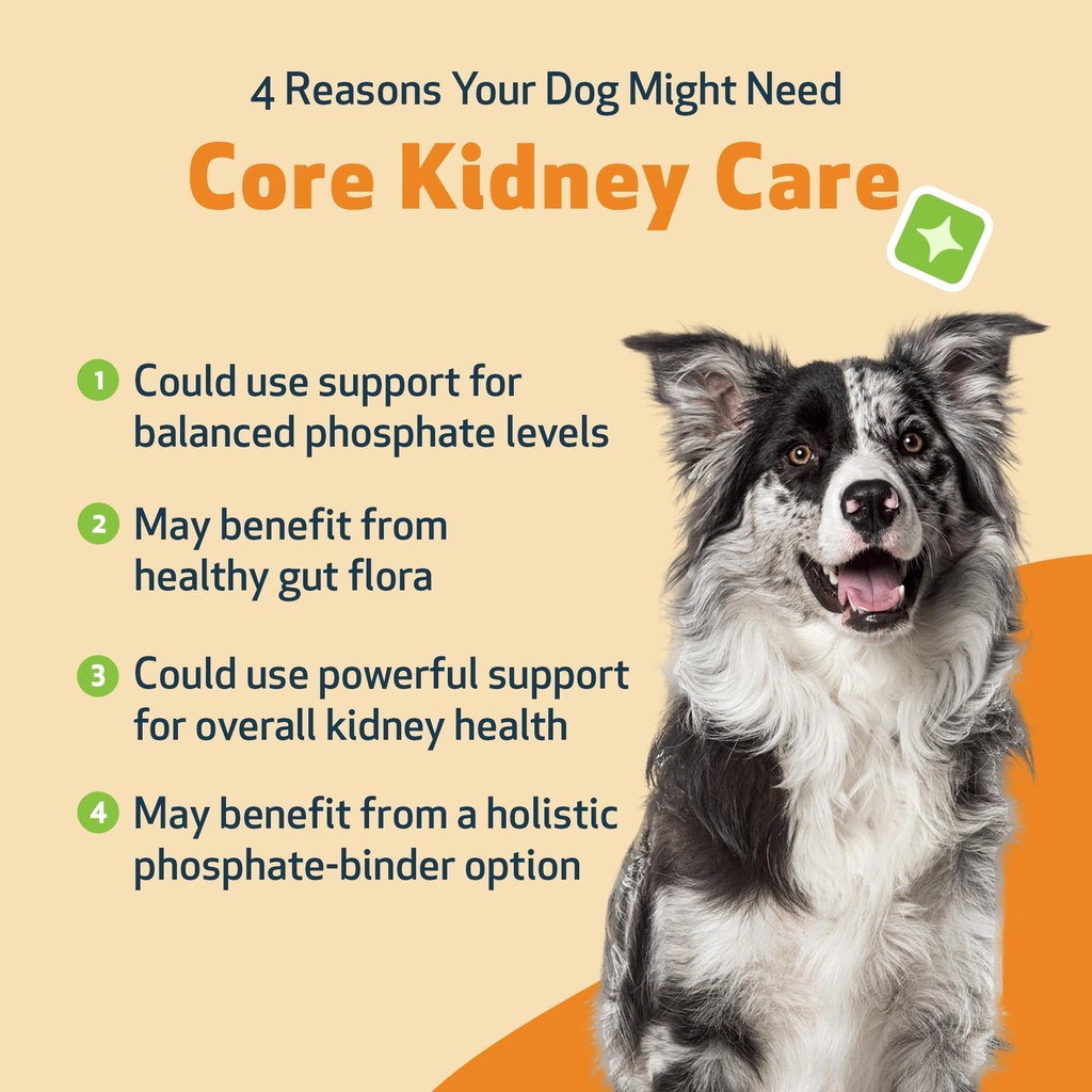 pet-wellbeing-core-kidney-care-for-dogs--3.jpg
