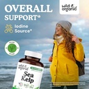 wild-organic-sea-kelp-180-capsules-sea-m-2.jpg