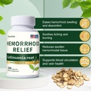 collinsonia-root-hemorrhoid-relief-organ-2.jpg
