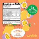 wellah-creatine-electrolytes-powder-mang-2.jpg