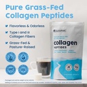 nativepath-bone-health-collagen-and-coll-6.jpg