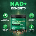 satoomi-nad-supplement-with-liposomal-ni-5.jpg