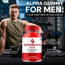 alpha-gummy-pro-multivitamin-gummies-alp-4.jpg