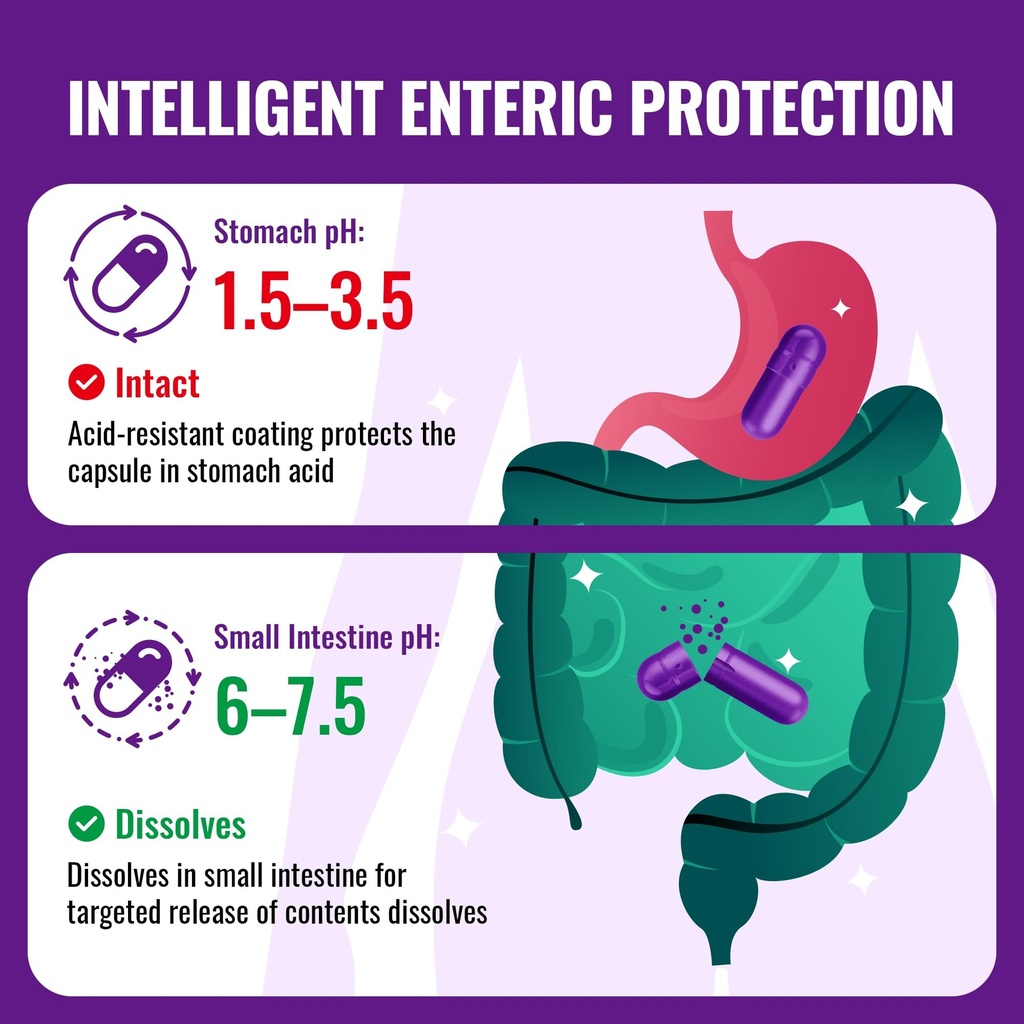 size-0-enteric-coated-empty-gelatin-caps-6.jpg